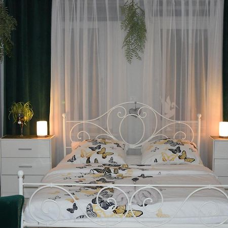 Apartament U Danusi Złoty Stok Extérieur photo
