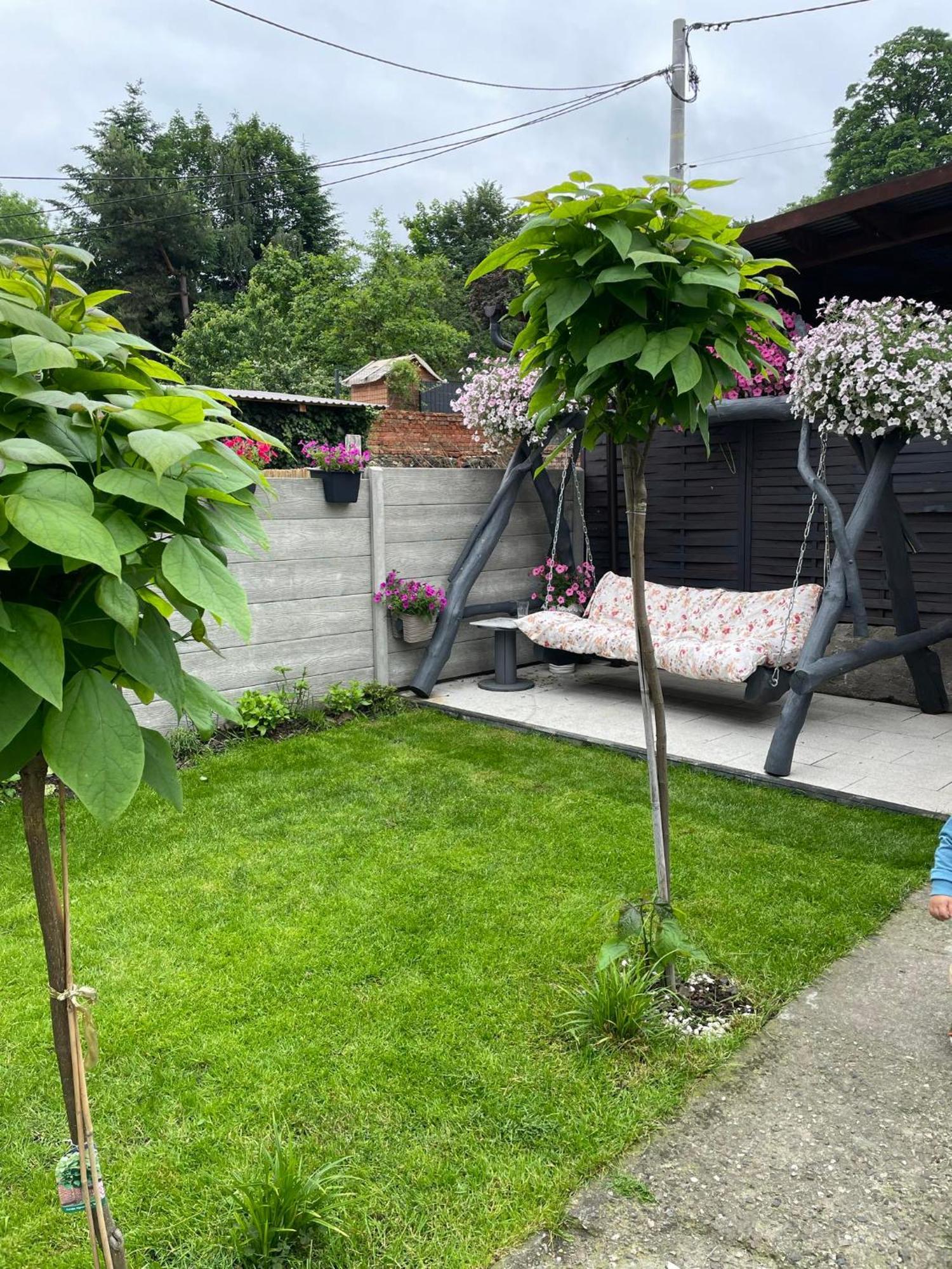 Apartament U Danusi Złoty Stok Extérieur photo