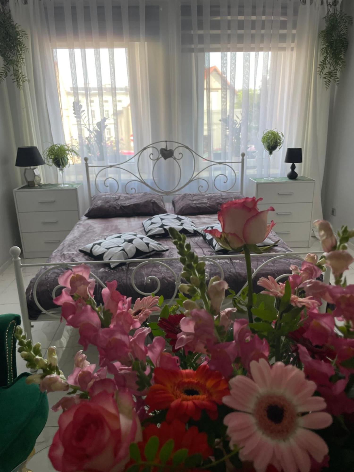 Apartament U Danusi Złoty Stok Extérieur photo