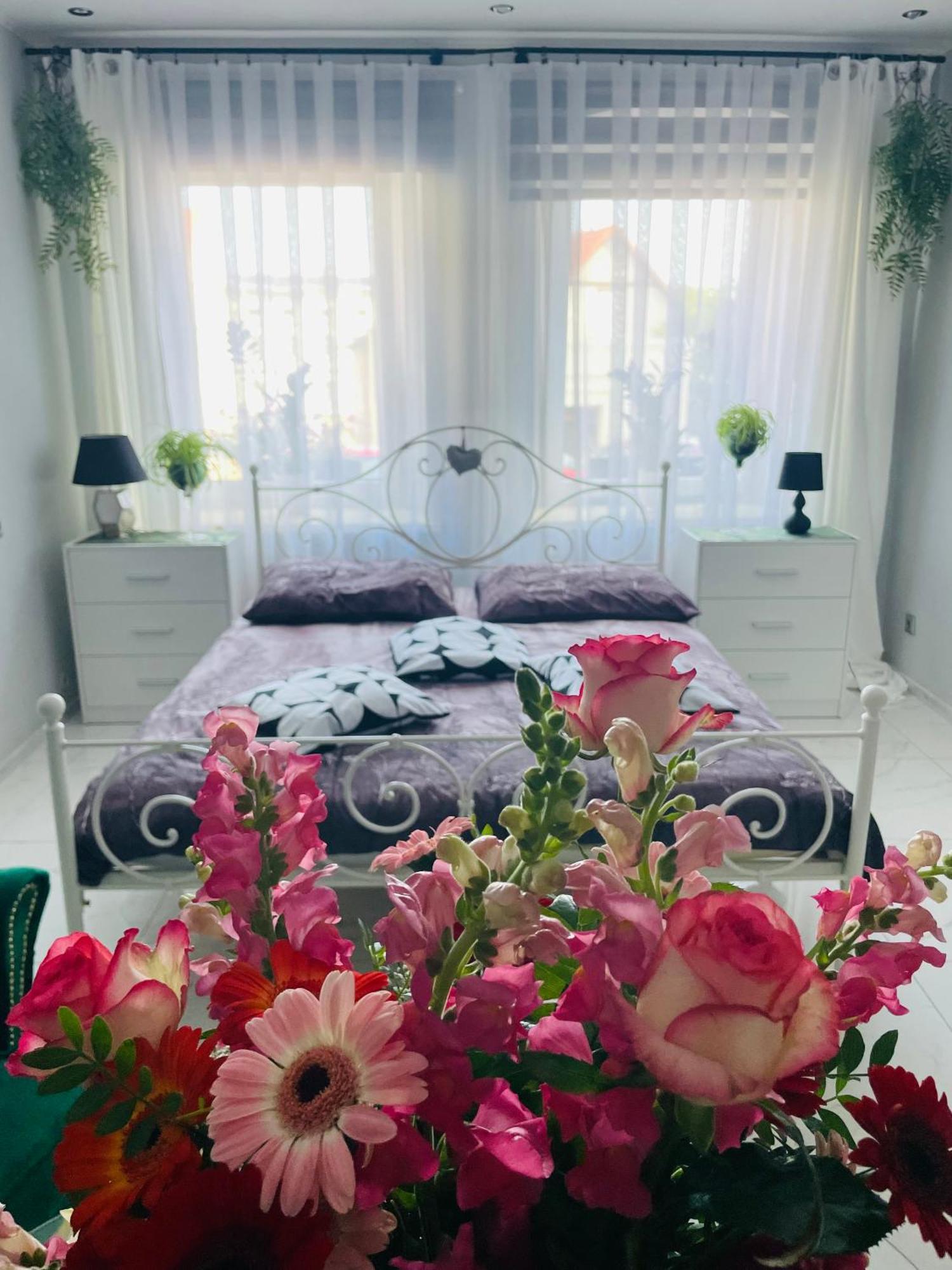 Apartament U Danusi Złoty Stok Extérieur photo